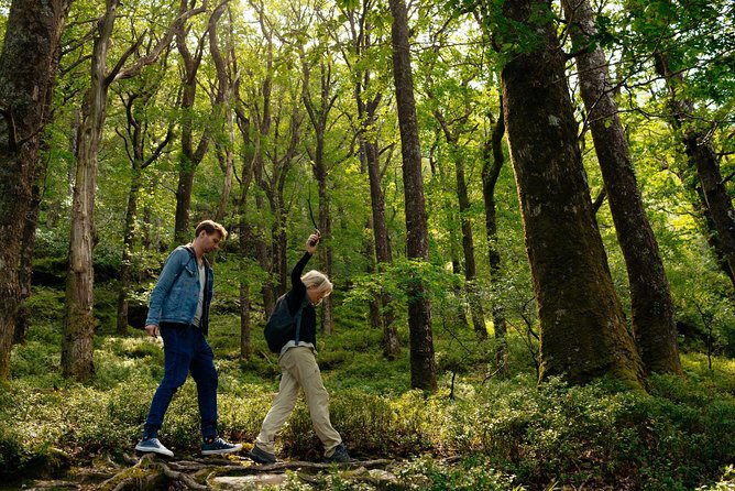 Wicklow Mountains Private Day Trip from Dublin - Laragh and possible extra stops