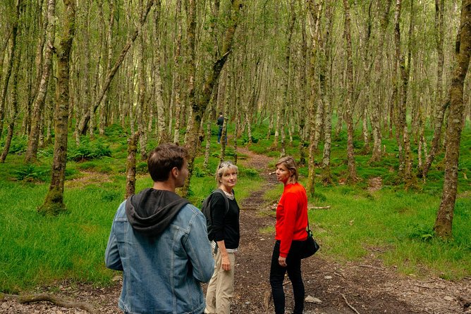 Wicklow Mountains Private Day Trip from Dublin - Is $52 good value for a private day?