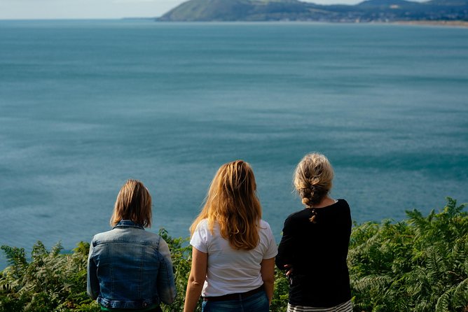 Wicklow Mountains Private Day Trip from Dublin - Powerscourt Waterfall and the optional €6 ticket