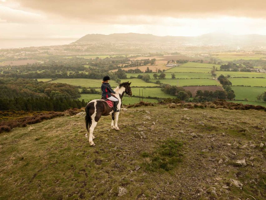 Wicklow: Private Day Tour from Dublin - What the guide adds to a private day