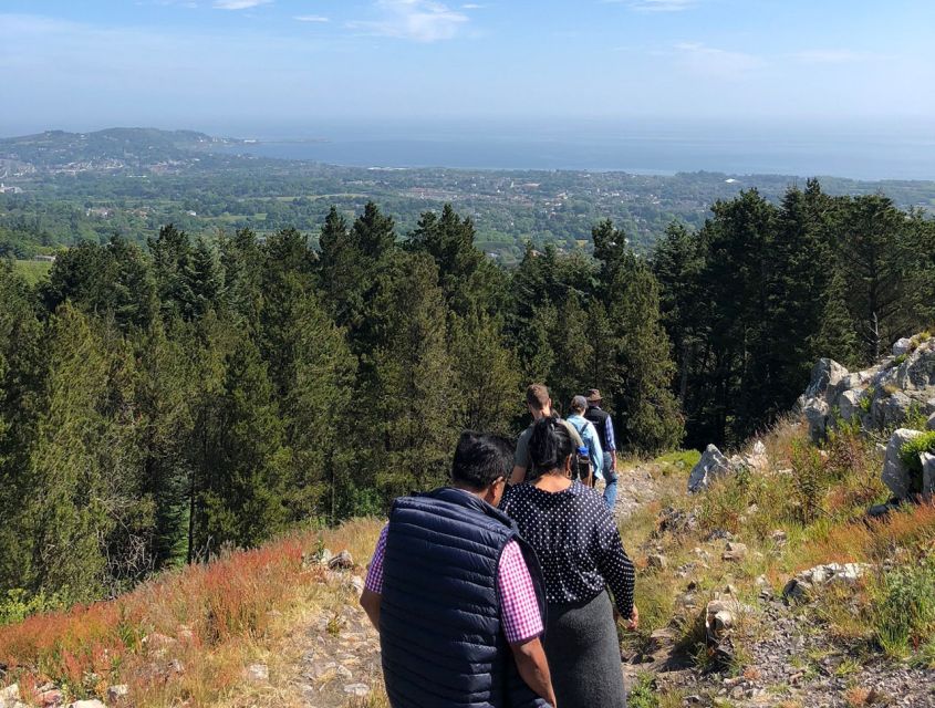 Wicklow: Private Day Tour from Dublin - Practical planning for the eight-hour route