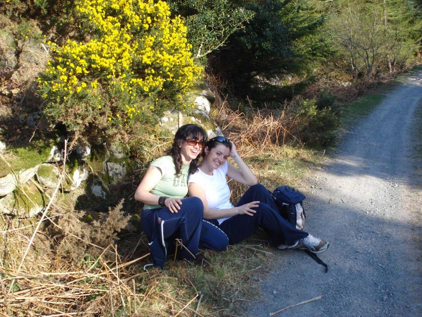 Wicklow: Private Day Tour from Dublin - Powerscourt Gardens and views toward Sugar Loaf Hill