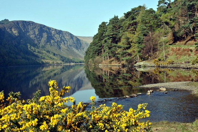 Wicklow tour of Glendalough - Avoca Woollen Mills and a coffee break