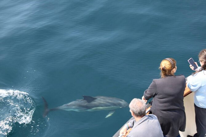 Wildlife Tour - Dramatic cliffs, coves, and red sandstone